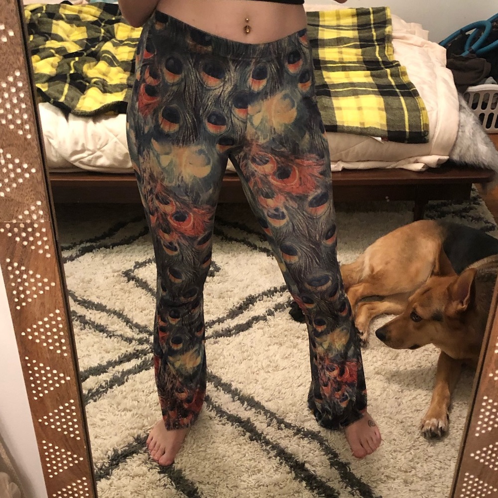 Grassroots California peacock velvet bootcut pants